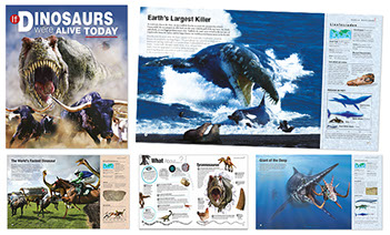 Examples of book packaging and design