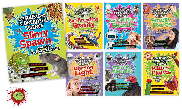 Examples of book packaging and design