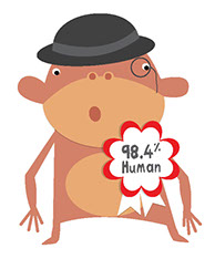 Humans and chimp infographic