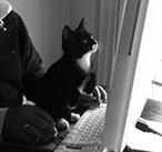 Design Assistant Mario the cat